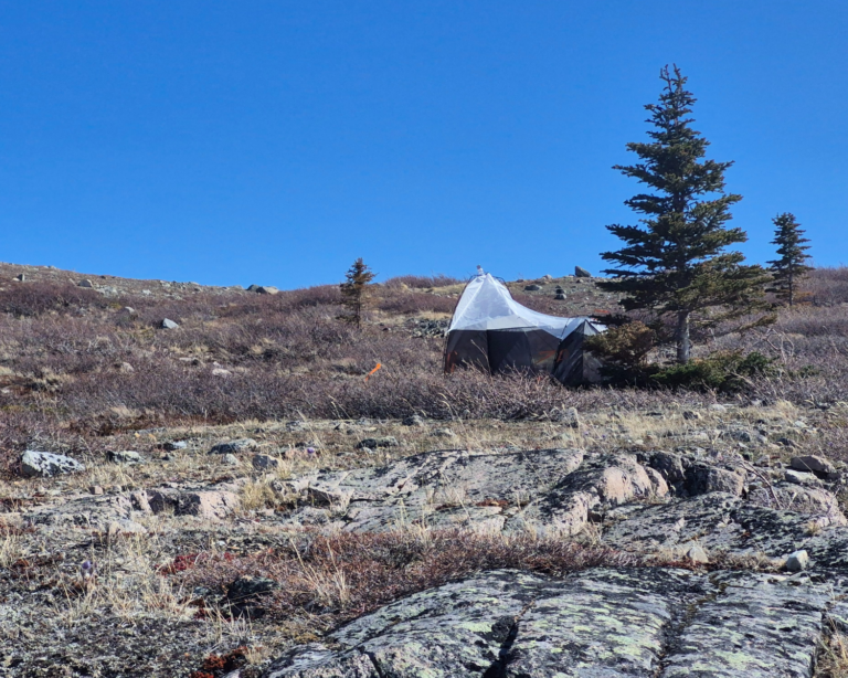 Home 4